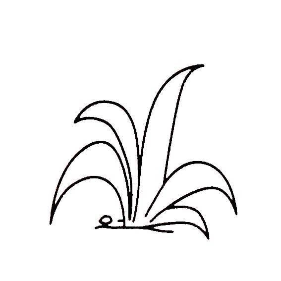 禾苗简笔画 禾苗简笔画简单又好看