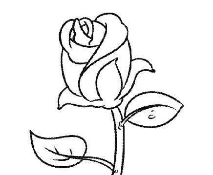 玫瑰花怎么画简笔画又漂亮 玫瑰花怎么画简笔画又漂亮 一步一步