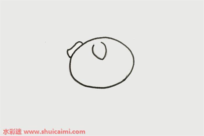 小猪怎么画 小猪简笔画图片彩色