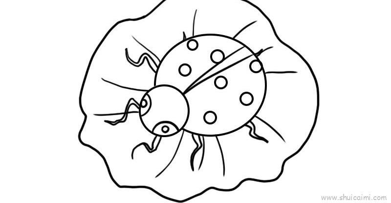 七星瓢虫教程儿童画怎么画 七星瓢虫教程简笔画画法