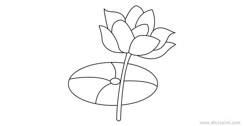 荷花儿童画怎么画 荷花简笔画好看