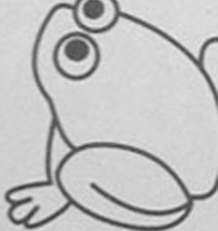 青蛙的简笔画图片大全 简笔画画青蛙图片