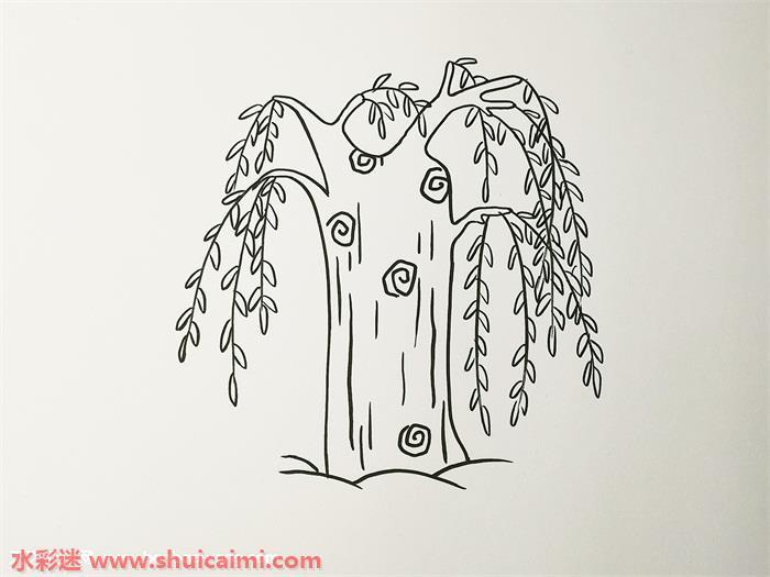 柳树怎么画 柳树简笔画简单好看带颜色