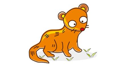 貂的简笔画怎么画 水貂简笔画