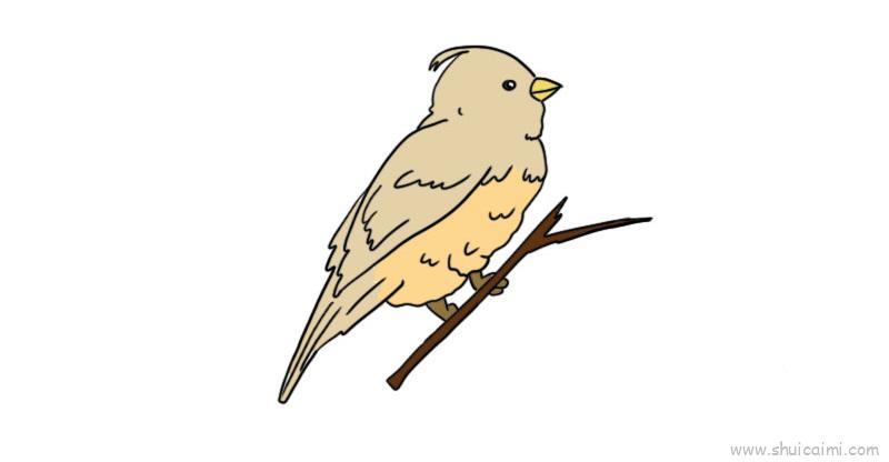 麻雀儿童画怎么画 麻雀简笔画简单又好看