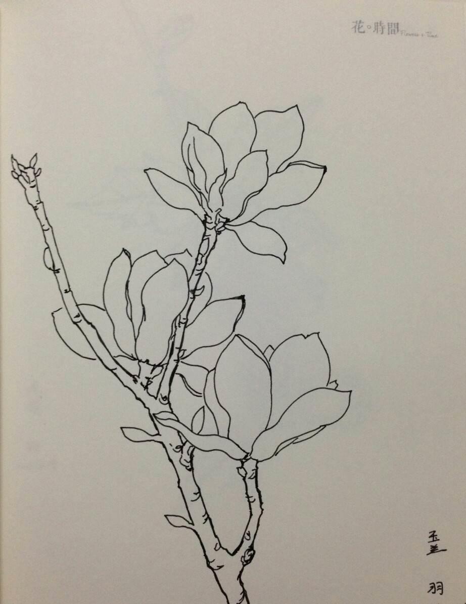 玉兰花简笔画图片大全 玉兰花简笔画图片大全彩色