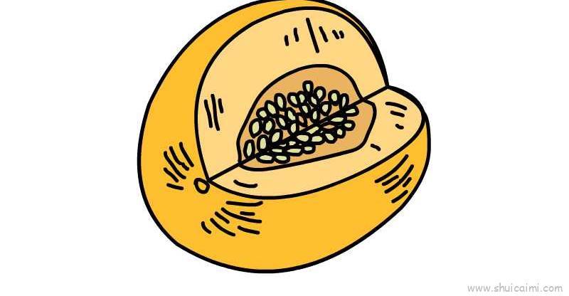 香瓜儿童画怎么画 香瓜简笔画图片大全