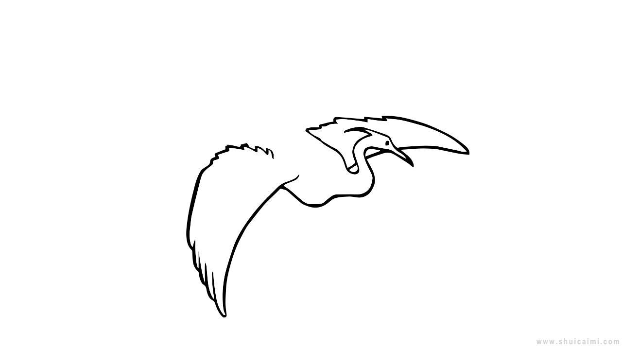 白鹭飞翔简笔画怎么画 白鹭飞翔简笔画画法
