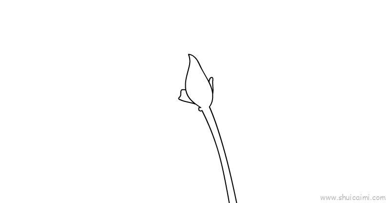 彼岸花儿童画怎么画 彼岸花简笔画画法