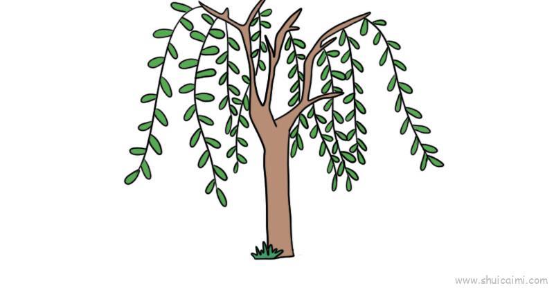 柳树儿童画怎么画 柳树简笔画顺序