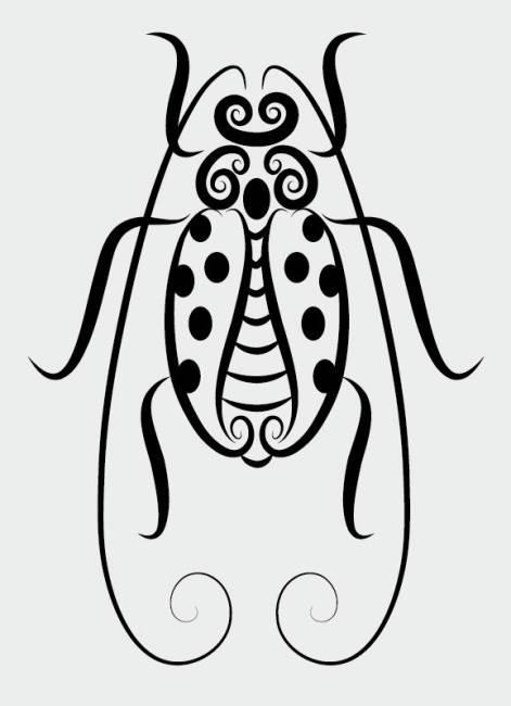 虫简笔画图片大全 甲壳虫简笔画图片大全
