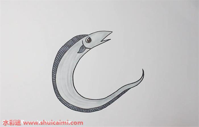 带鱼怎么画 带鱼简笔画画法
