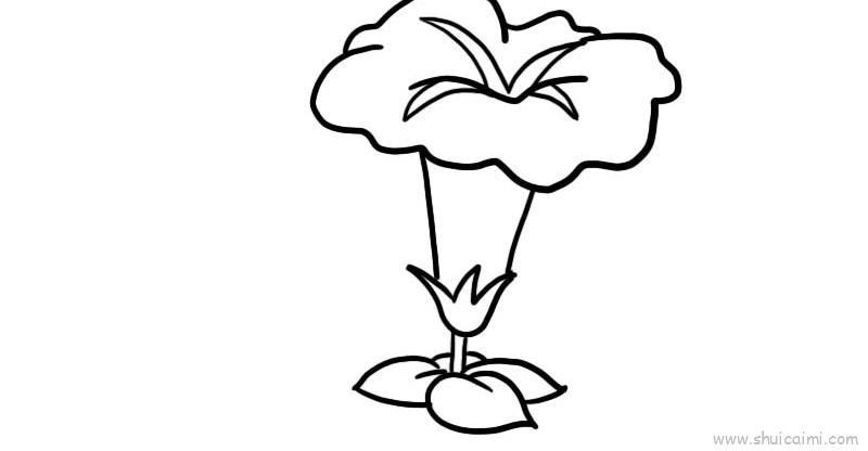 喇叭花儿童画怎么画 喇叭花简笔画顺序