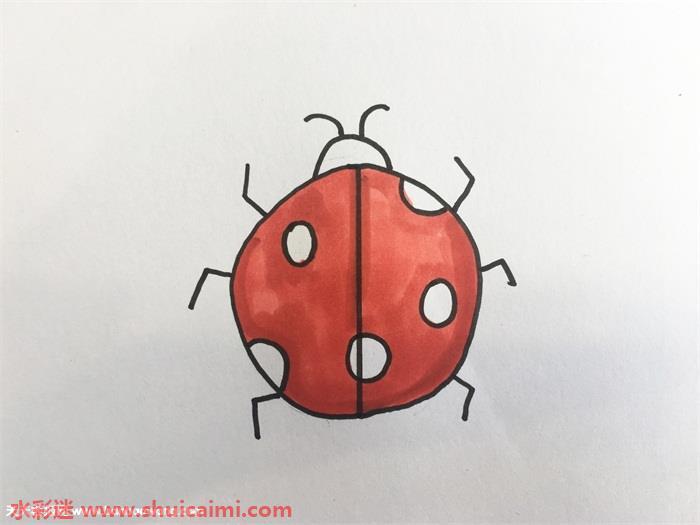 昆虫怎么画 昆虫简笔画彩色