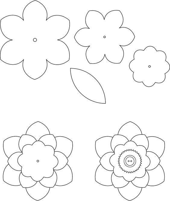 花瓣的简笔画图片大全 花瓣的简笔画图片大全大图