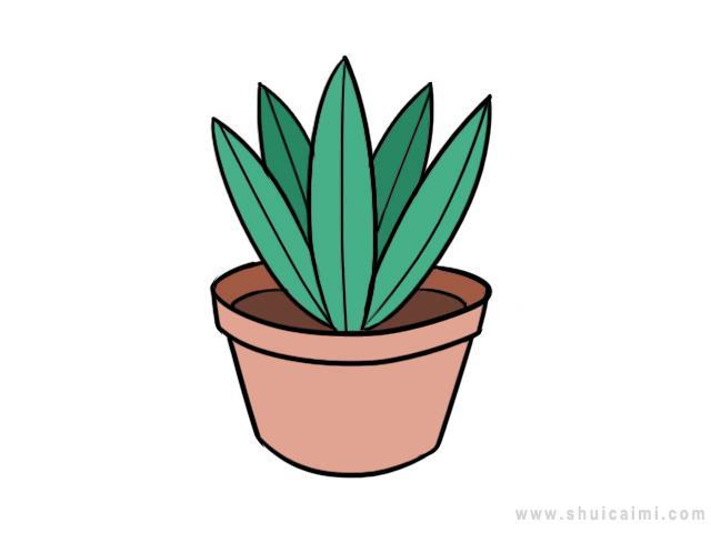 盆栽简笔画怎么画 盆栽简笔画好看