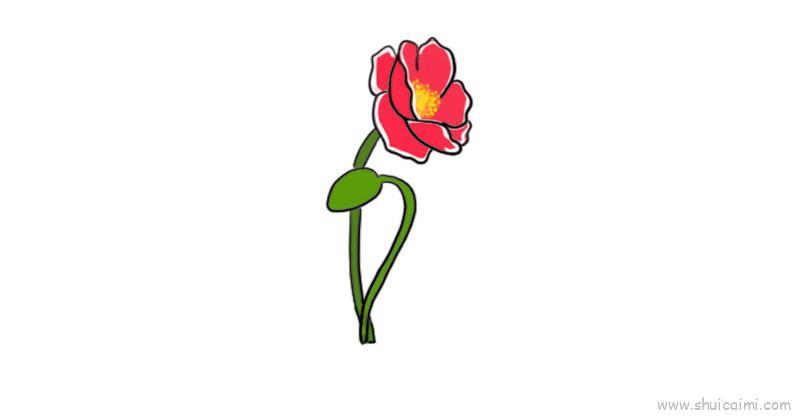 虞美人儿童画怎么画 虞美人简笔画图片