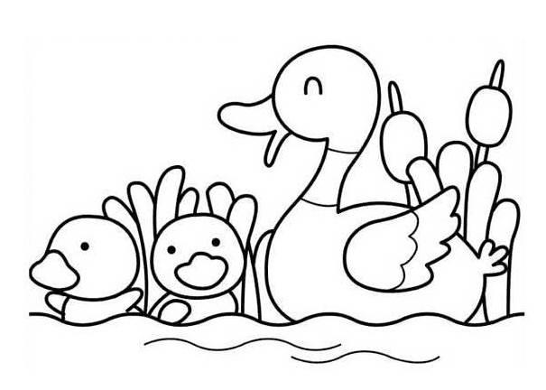 小动物简笔画图片大全可爱 小动物简笔画图片大全可爱卡通