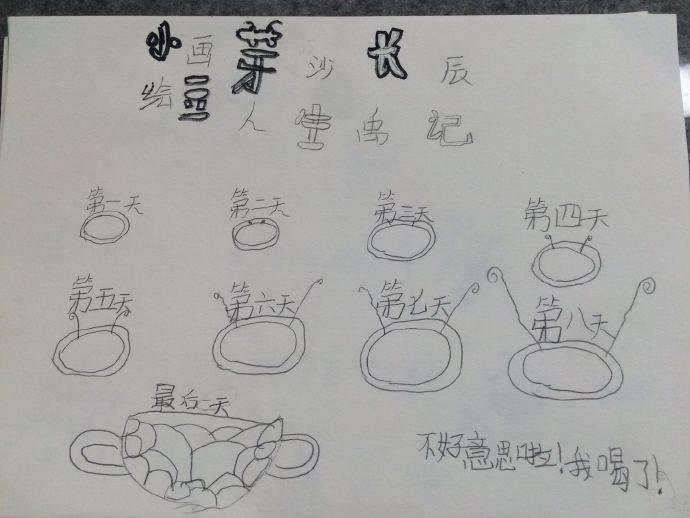 豆芽简笔画 豆芽简笔画生长过程