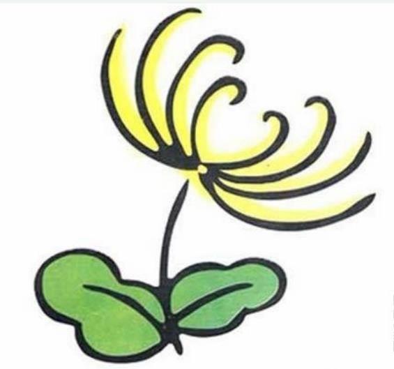 菊花叶子简笔画 菊花叶子简笔画图片