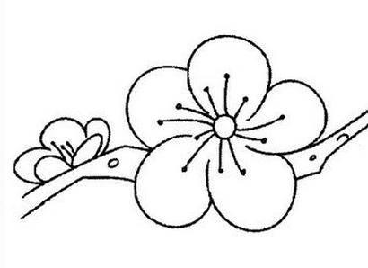 梅花树简笔画图片大全 梅花树简笔画图片大全儿童画