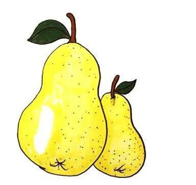 橙子简笔画 橙子简笔画带颜色