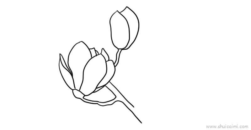 玉兰花儿童画怎么画 玉兰花简笔画简单又好看