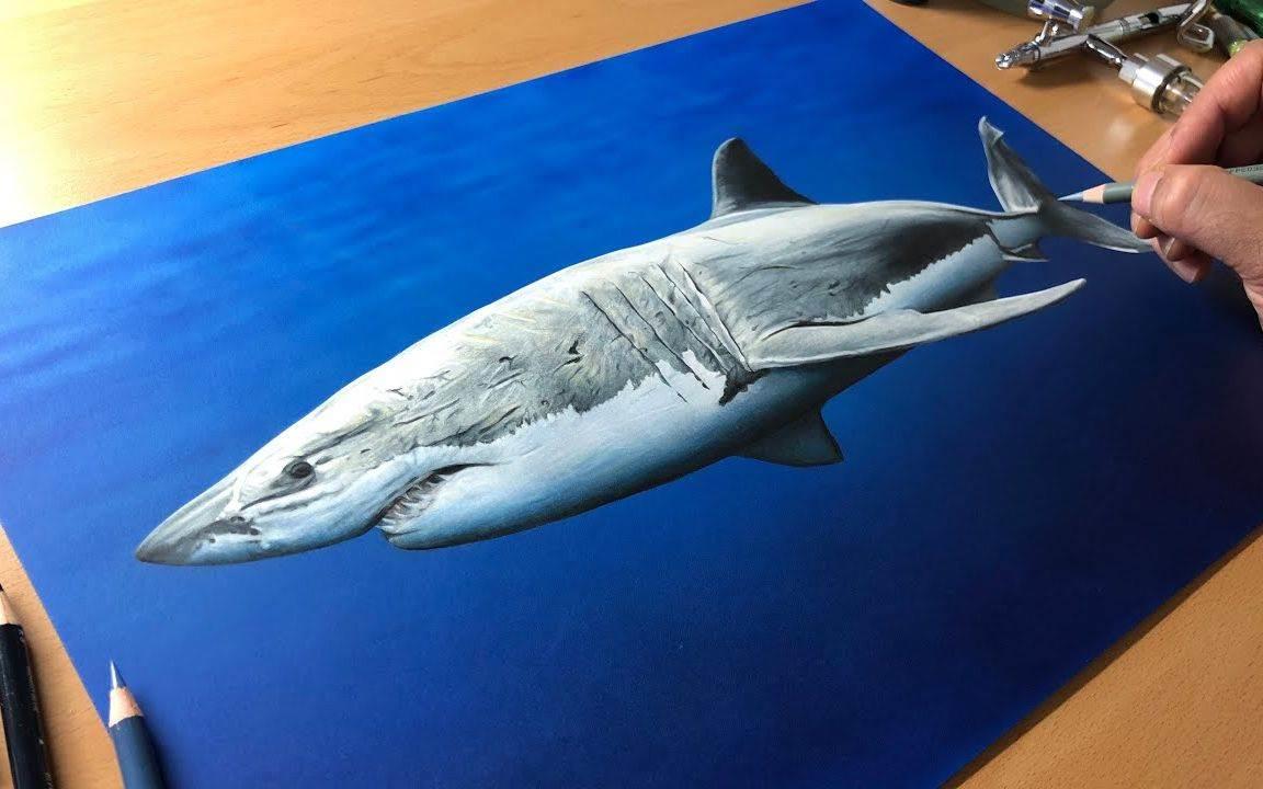 大白鲨简笔画 凶猛的大白鲨简笔画