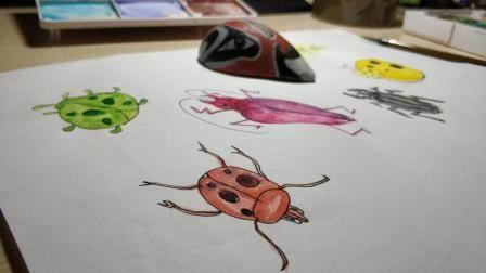 甲虫简笔画 金步甲虫简笔画