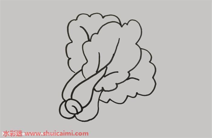 青菜怎么画 青菜简笔画简单易画彩色