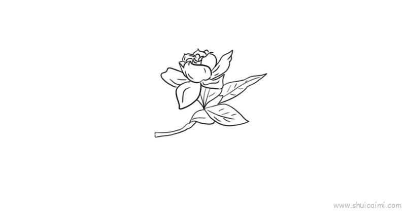 栀子花儿童画怎么画 栀子花简笔画好看