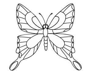 蝴蝶简笔画 蝴蝶简笔画彩色