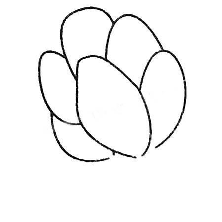 菠菜简笔画 菠菜简笔画图片带颜色