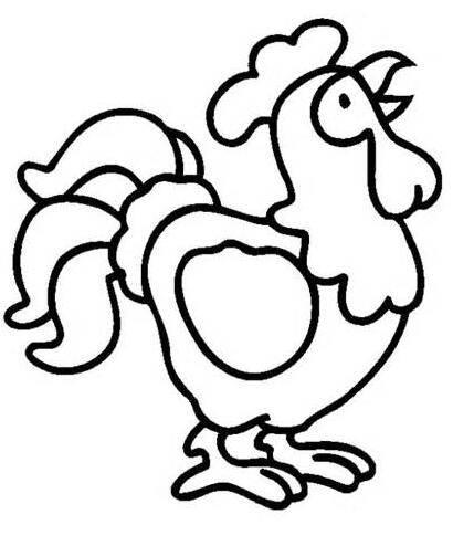 公鸡的简笔画图片大全 公鸡的简笔画图片大全可爱简单又漂亮