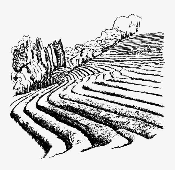 梯田简笔画 梯田简笔画图片