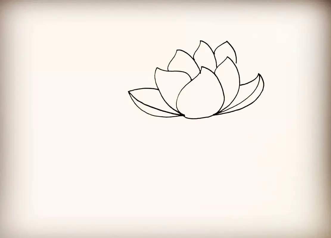 荷花简笔画 荷花简笔画怎么画