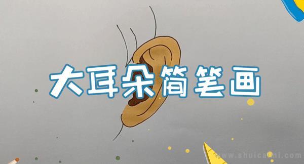 耳朵简笔画怎么画 耳朵简笔画简单又好看