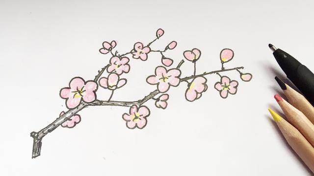 梅花树简笔画图片大全 梅花树简笔画图片大全儿童画