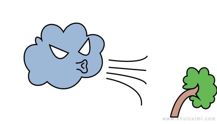 台风简笔画怎么画 台风简笔画图片大全