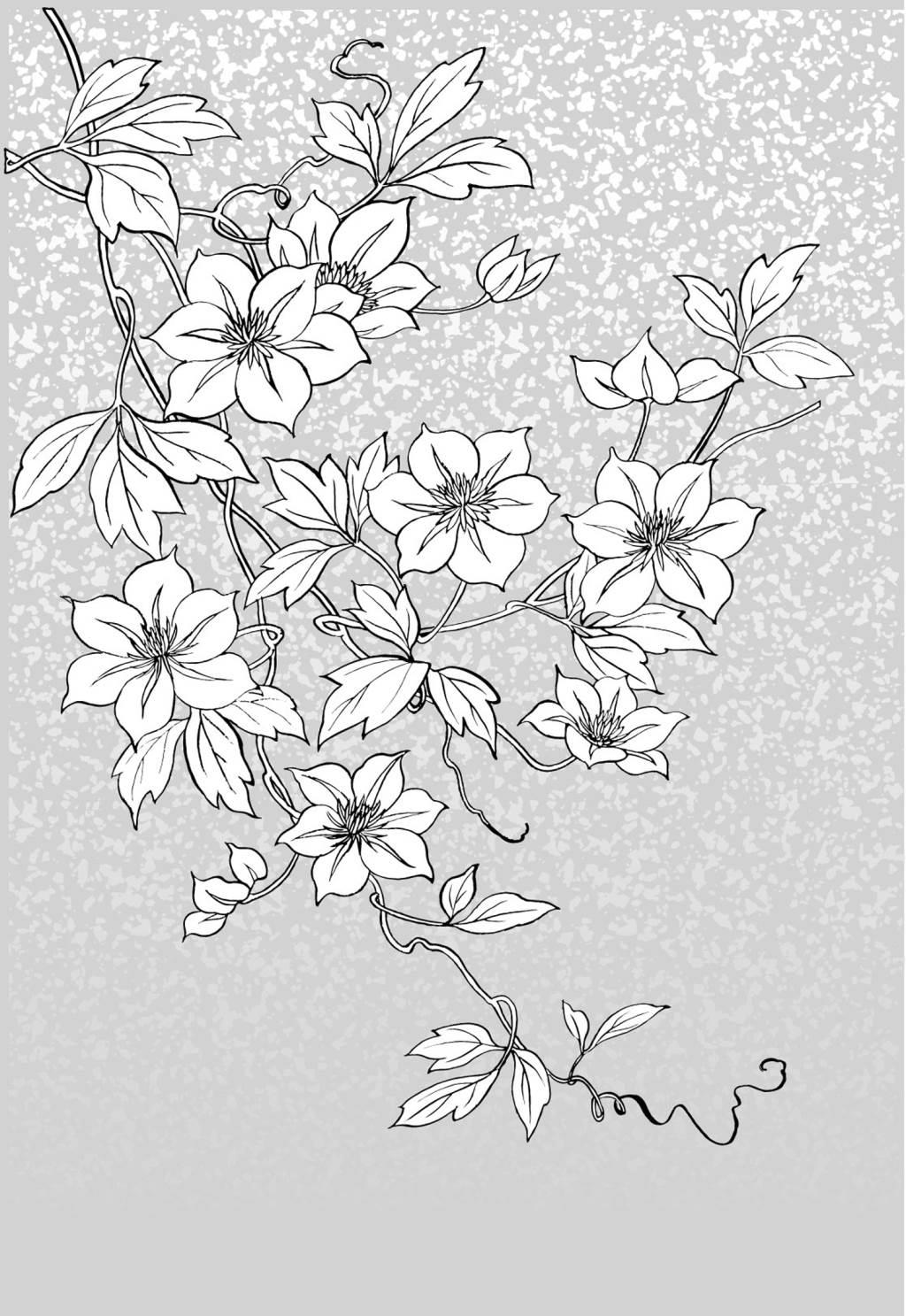 花卉简笔画 花卉简笔画图片大全