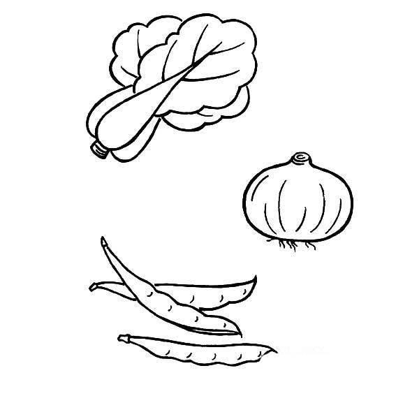 菜简笔画 菜简笔画简单