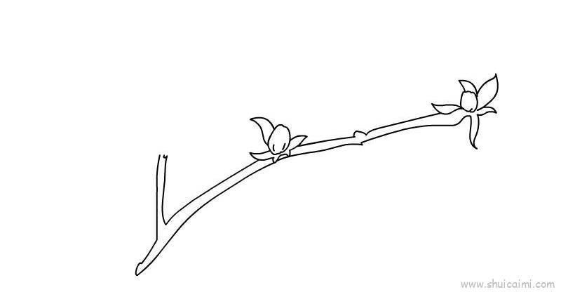 迎春花儿童画怎么画 迎春花简笔画步骤