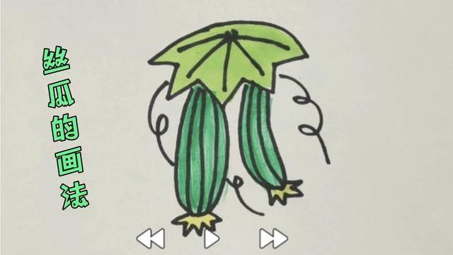 丝瓜简笔画 丝瓜简笔画图片带颜色