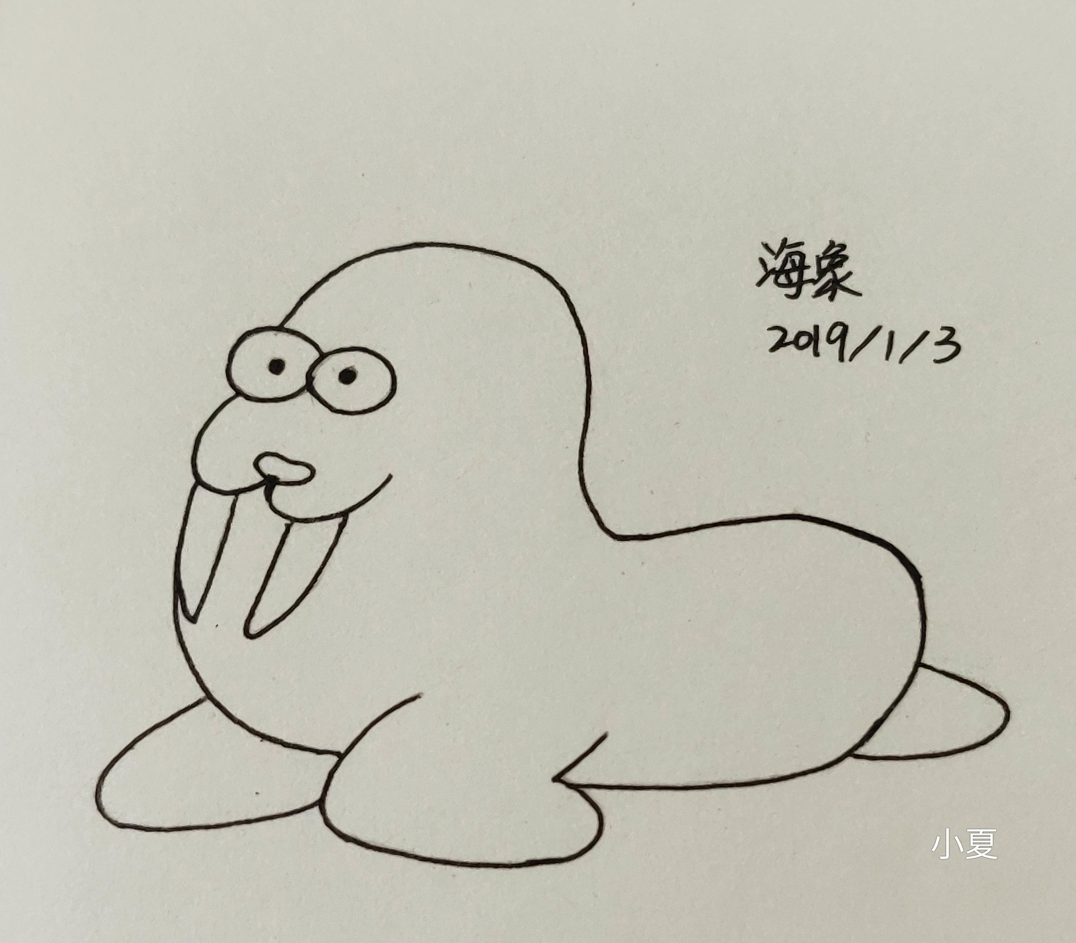 海象简笔画图片大全 海象简笔画图片大全大图