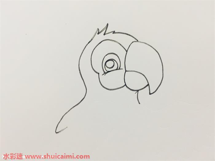 鹦鹉怎么画 鹦鹉简笔画步骤