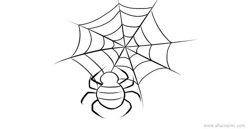 蜘蛛网儿童画怎么画 蜘蛛网简笔画好看
