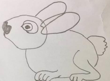 小白兔简笔画 小白兔简笔画彩色