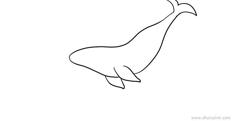座头鲸儿童画怎么画 座头鲸简笔画简单