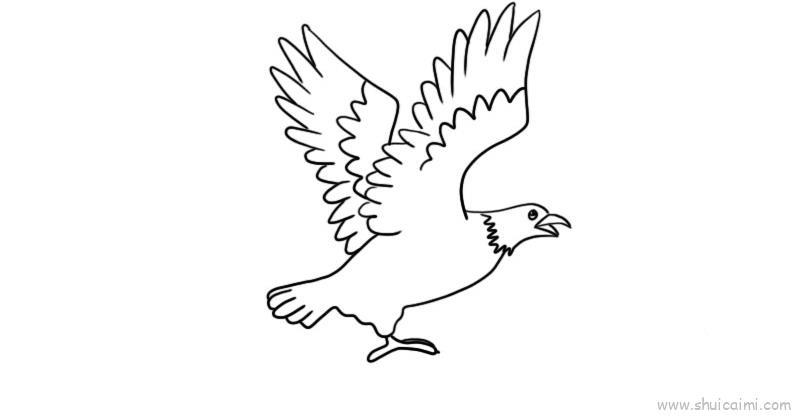 老鹰儿童画怎么画 老鹰简笔画简单