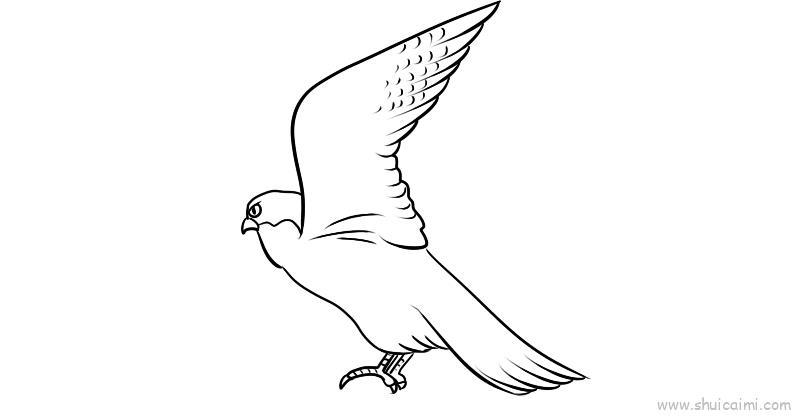 燕隼儿童画怎么画 燕隼简笔画顺序